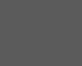 JUPITER FLAG